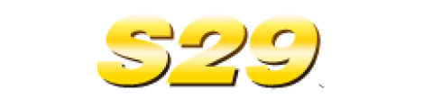 S29com oficial Logo